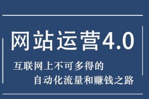 暴疯团队网站赚钱项目4.0:网站运营与盈利，实现流量与盈利自动化的赚钱之路