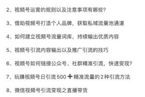 从0到1带你玩赚视频号：这么玩才赚钱，日引流500+日收入1000+核心玩法