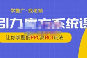 老衲·引力魔方系统课，让你掌握低PPC高ROI玩法，价值299元