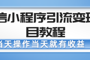 微信小程序引流变现项目教程，当天操作当天就有收益，变现不再是难事