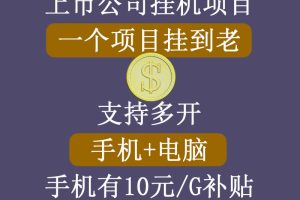 中视频赚钱陪跑，卖中视频账户赚钱收益陪跑项目（价值599元）