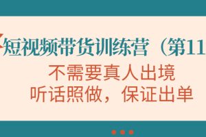 视频带货训练营，不需要真人出境，听话照做，保证出单（第11期）