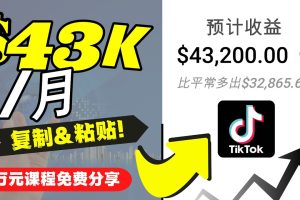 2022抖音国际版Tiktok赚钱项目：每天上传一个视频就轻松月入$43200