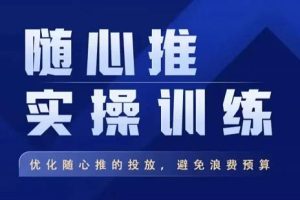 飞哥·随心推实操训练，优化随心推投放，避免浪费预算