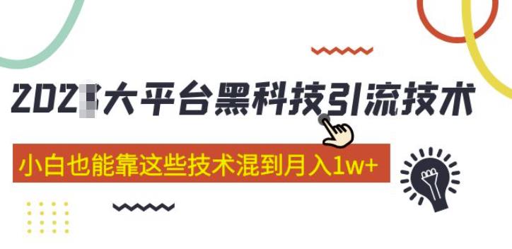 大平台黑科技引流技术，小白也能靠这些技术混到月入1w+(2022年的课程）