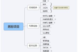 【男粉落地项目】零基础玩转男粉短视频转私域日产500+，2023男粉高客单价实操教程