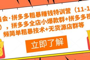 叮当会·拼多多粗暴赚钱特训营（11-19期），拼多多全店小爆款群+拼多多视频简单粗暴技术+无货源店群等