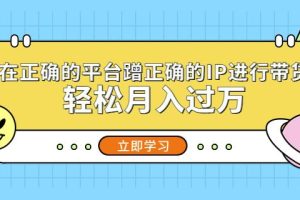 在正确的平台蹭正确的IP进行带货，轻松月入过万