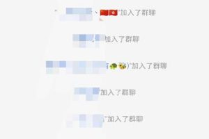 黑科技纯原创可爱猫咪图片，全网精准引流，实操5个VX号被加频繁