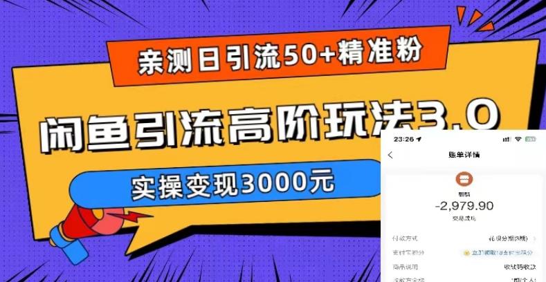 亲测日引50+精准粉，闲鱼引流高阶玩法3.0，实操变现3000元【揭秘】