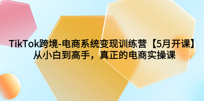 TikTok跨境-电商系统变现训练营【5月新课】从小白到高手，真正的电商实操课插图