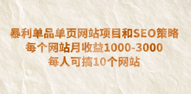 暴利单品单页网站项目和SEO策略 每个网站月收益1000-3000 每人可搞10个