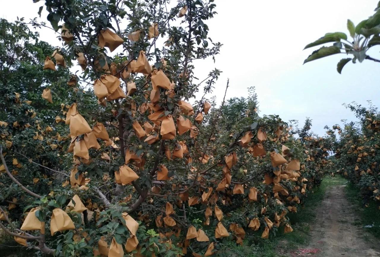 加工厂利润怎么样_利润最高的小型加工厂_小型厂利润加工高的原因