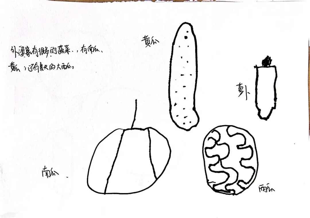 蜗牛下蛋了怎么办_蜗牛下蛋了之后怎么办新手_蜗牛下蛋了怎么办怎么伺候