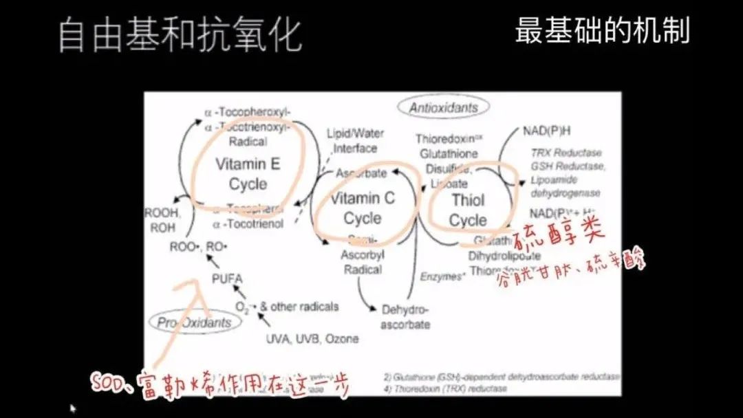 面油是什么_油面是碱面吗_油面是什么面