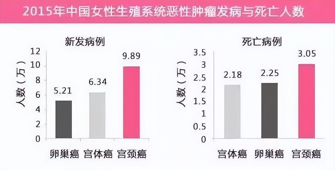 去香港买什么_买香港去珠海穿梭巴士_买香港去泰国机票可以入香港吗