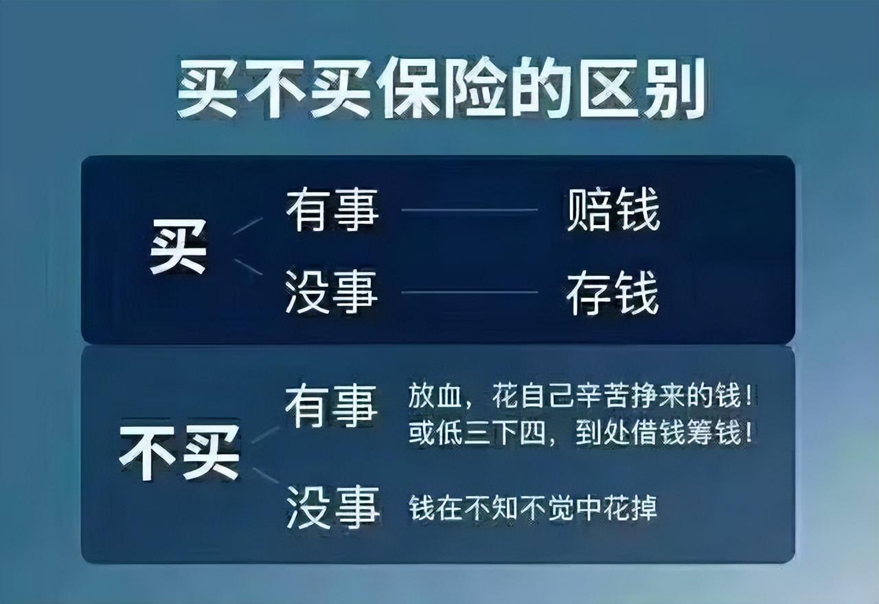 去香港买什么_买香港去珠海穿梭巴士_买香港去泰国机票可以入香港吗