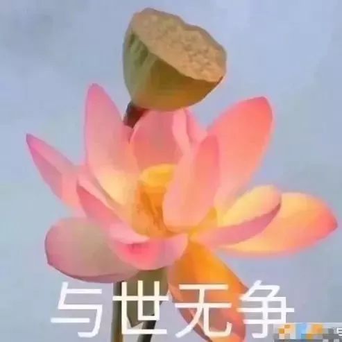 纹身能教书吗_有纹身能当老师吗_纹身的人能当老师吗