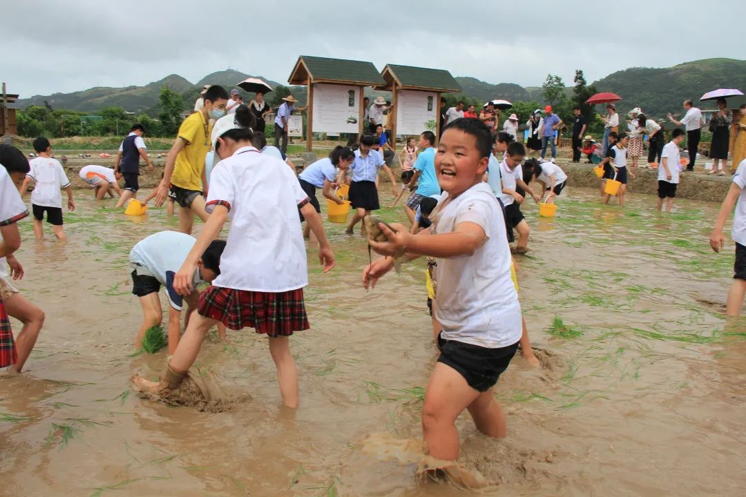 手工制作船模型小学生_手工模型船的制作方法_小学生模型船制作过程