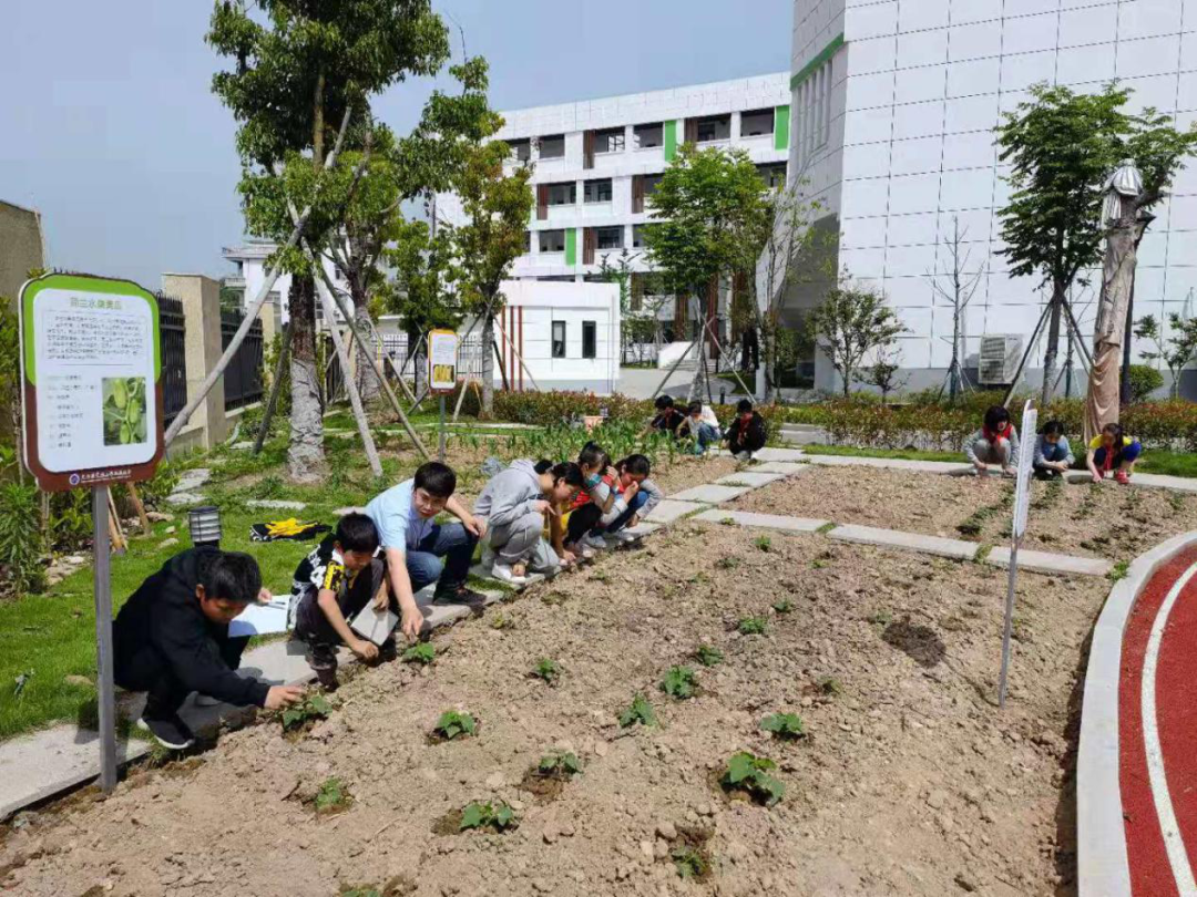 小学生模型船制作过程_手工制作船模型小学生_手工模型船的制作方法