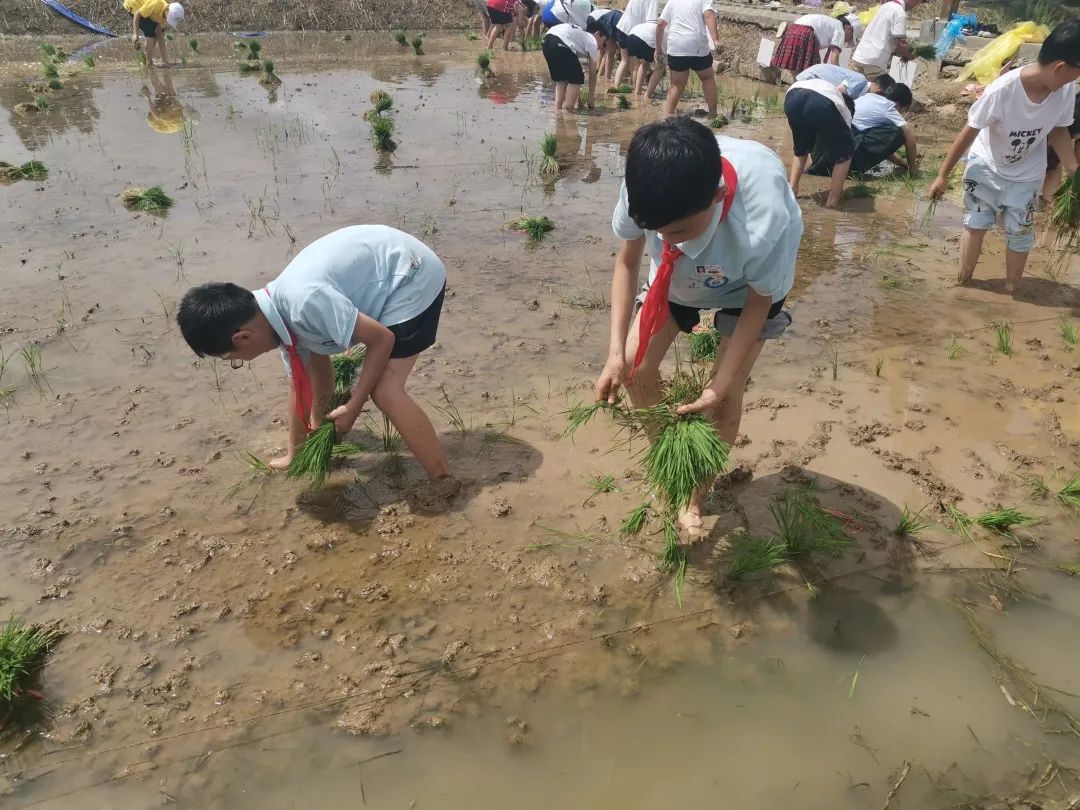 手工模型船的制作方法_手工制作船模型小学生_小学生模型船制作过程