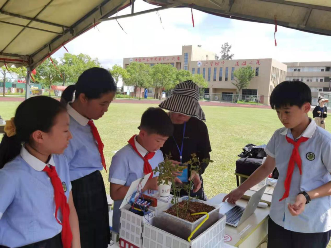 手工制作船模型小学生_小学生模型船制作过程_手工模型船的制作方法