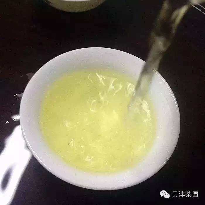 铁观音茶属于绿茶类吗_铁观音是茶树品种吗_铁观音茶属于什么茶类