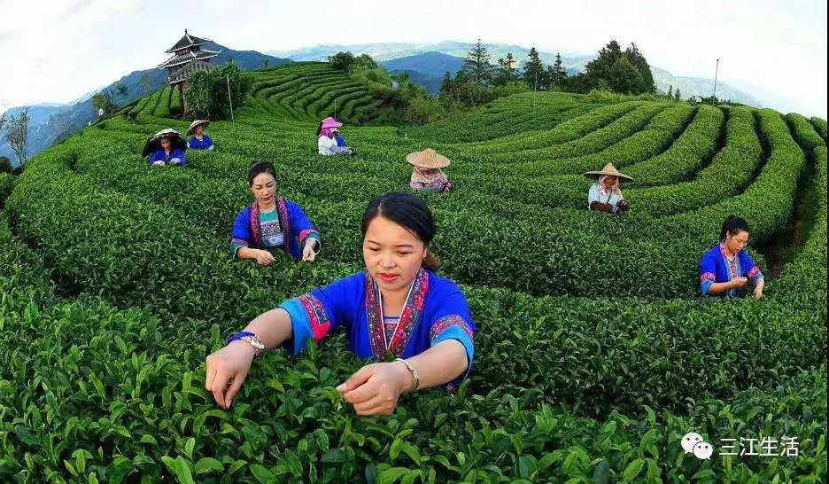 柳州攻略旅游景点推荐_柳州旅游攻略_柳州攻略旅游景点大全