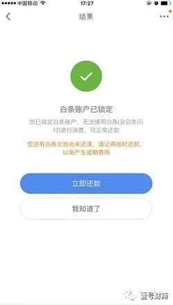 京东白条不还有什么后果_后果京东白条怎么关闭_京东白条的后果