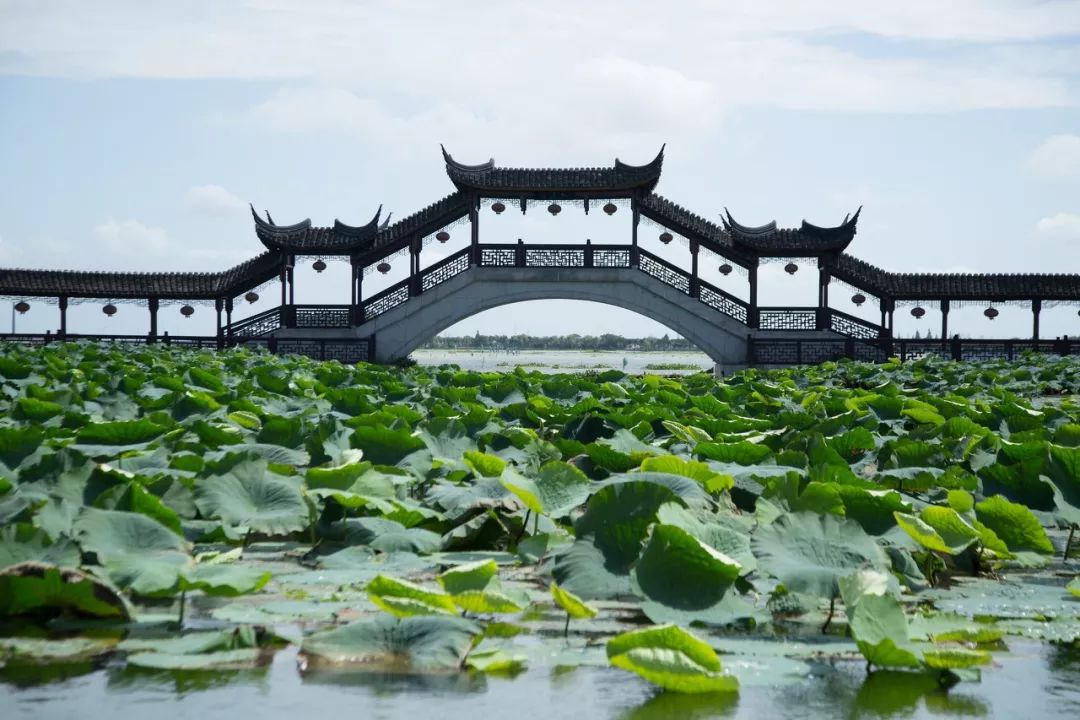 太仓沙溪古镇旅游景点_太仓沙溪古镇风景图片_太仓沙溪古镇旅游攻略