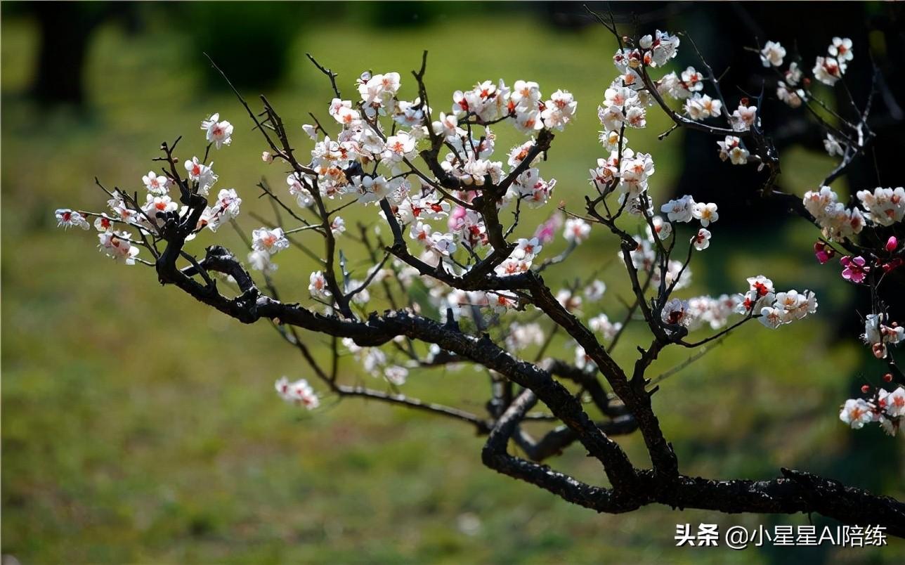 好听背景音乐大全_最好听的背景音乐_好听背景音乐大全100首