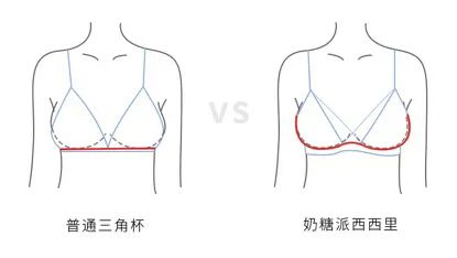 c杯的胸围是多少大_胸围和罩杯哪个表示胸大_胸围c杯大还是b杯大