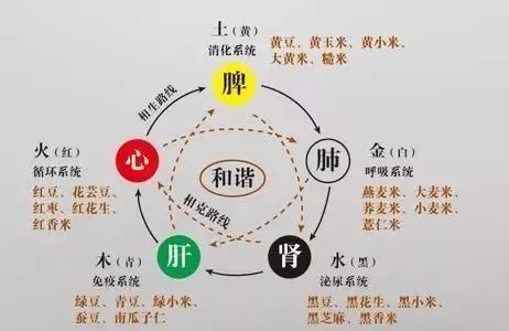 天干地支年月日时辰算法_年月日时的天干地支怎么算_年月日时的天干地支演算方法