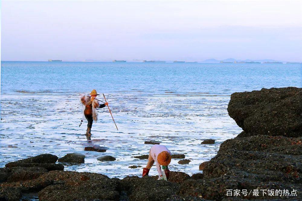 曹妃甸挖蛤蜊路线_曹妃甸挖蛤蜊最佳去处_挖蛤蜊