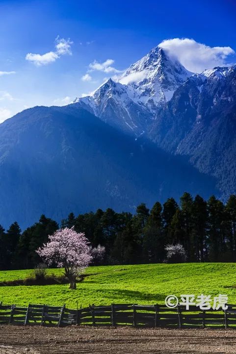 西藏旅行注意事项_西藏旅游注意事项_西藏旅游注意哪些事项