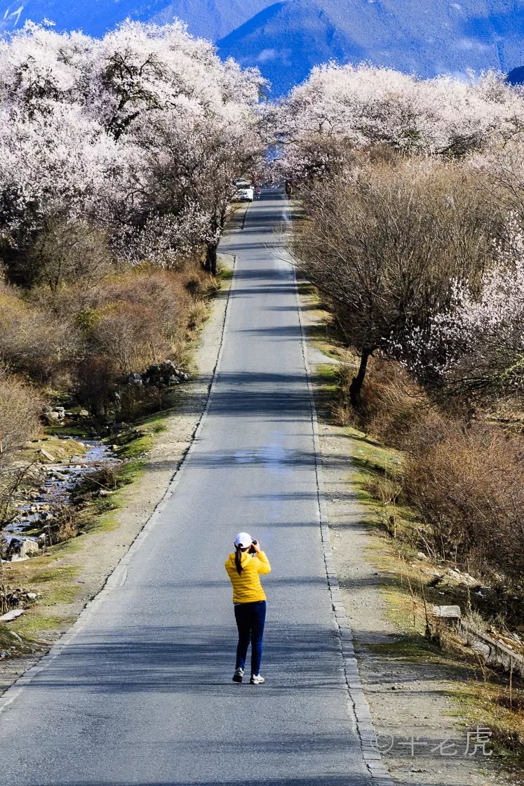 西藏旅行注意事项_西藏旅游注意哪些事项_西藏旅游注意事项