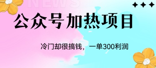 超冷门项目：公众号加热项目，一单利润300+