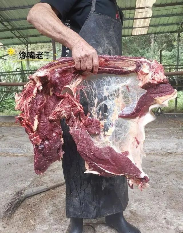 牛肉和牛腩哪个贵价格不一样_牛肉和牛腩怎么区分_牛腩和牛肉的区别