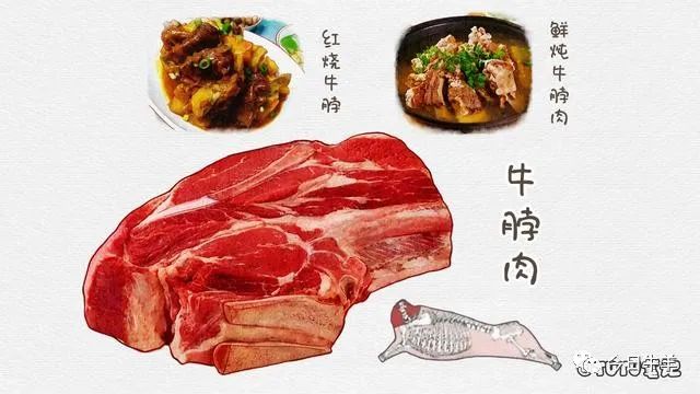 牛肉区别牛腩和牛腩_牛腩和牛肉的区别_牛肉区别牛腩还是牛腩