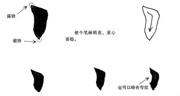 笔画区别笔划怎么写_笔划笔画区别_笔画区别笔划图片