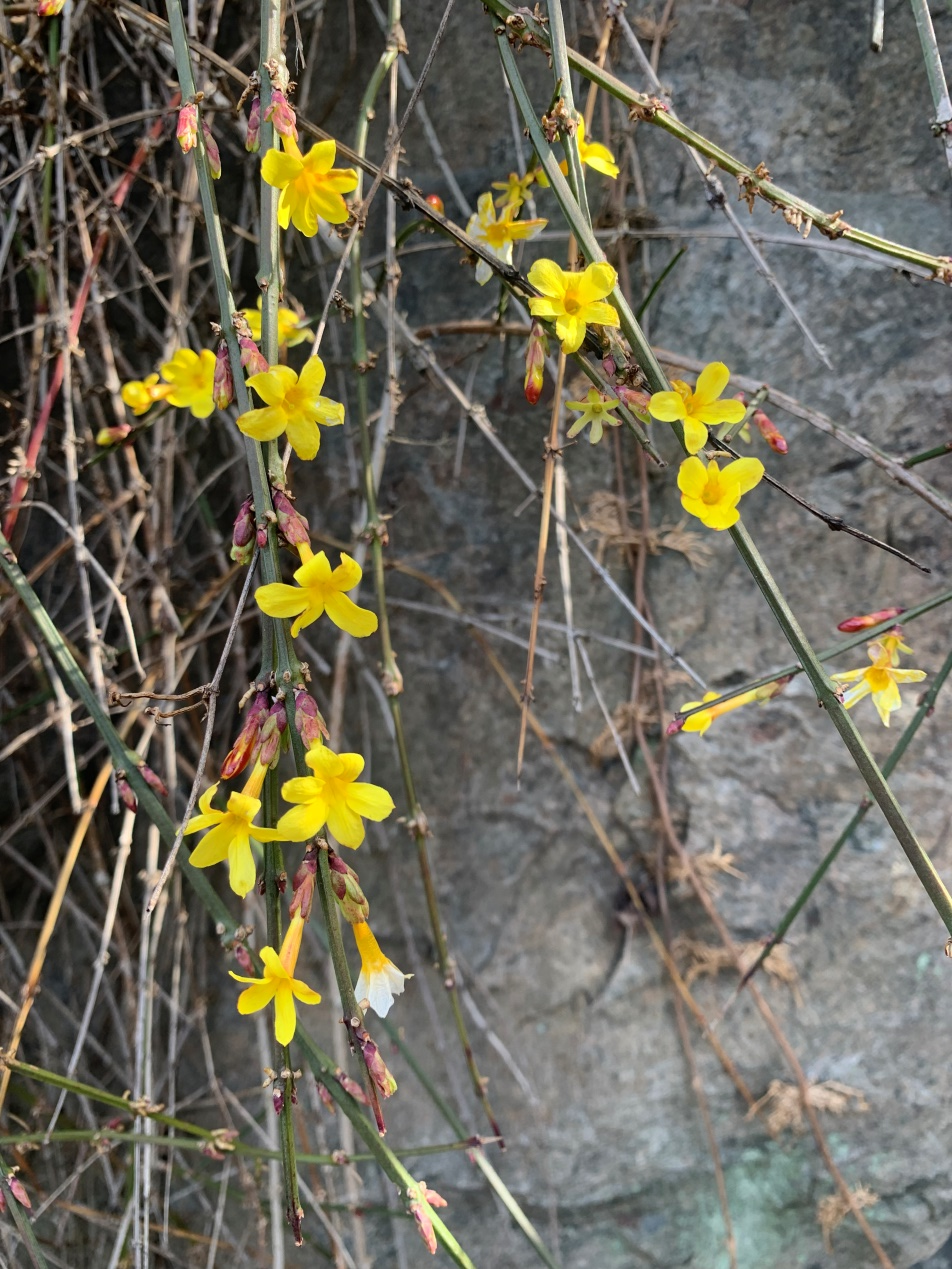 春季的节气_春季节气绘画_春季节气手抄报