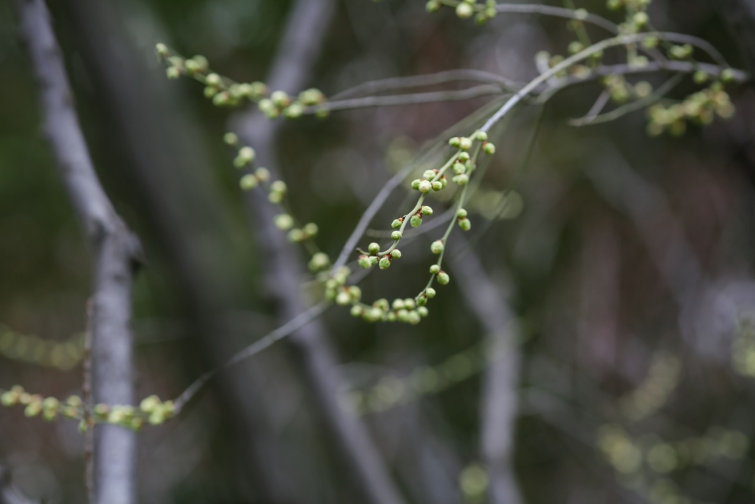 春季节气手抄报_春季的节气_春季节气绘画