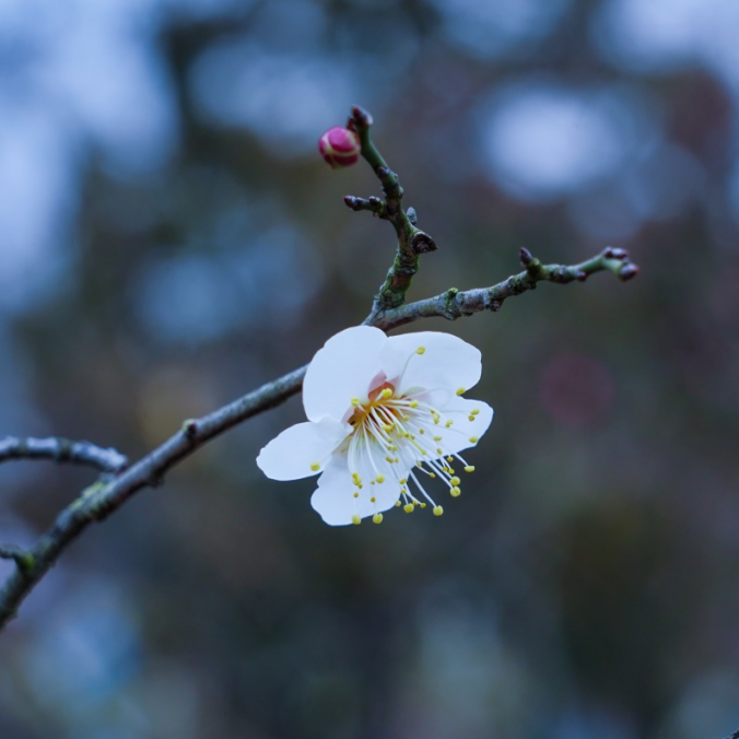 春季节气手抄报_春季的节气_春季节气绘画