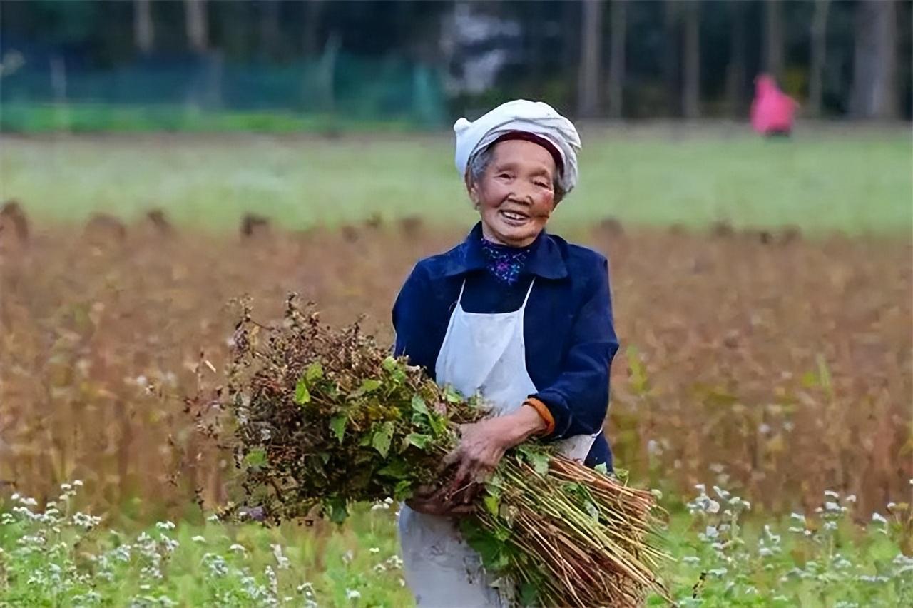 苗族特色风情_苗族的特色风俗_苗族独特风俗