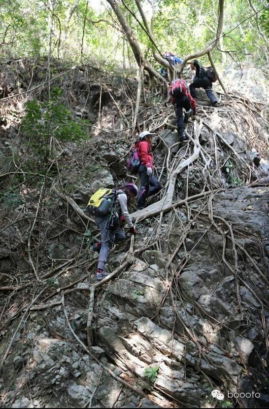 梧桐山小路怎么走法_梧桐山路好走吗_梧桐山路线