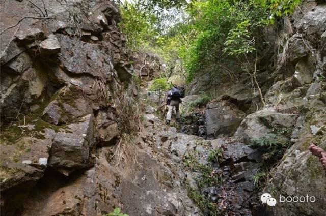 梧桐山小路怎么走法_梧桐山路好走吗_梧桐山路线