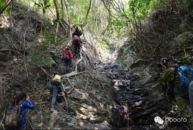 梧桐山小路怎么走法_梧桐山路好走吗_梧桐山路线