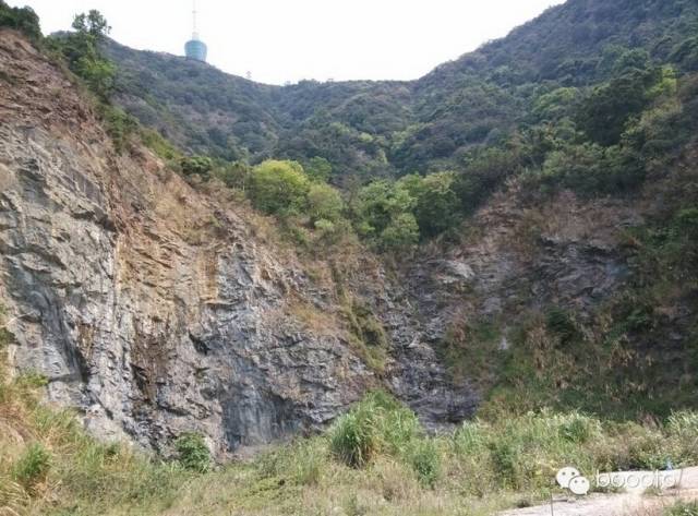 梧桐山路好走吗_梧桐山路线_梧桐山小路怎么走法