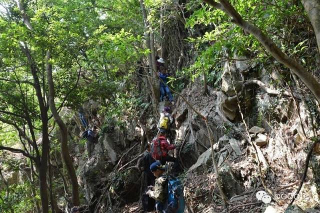 梧桐山路好走吗_梧桐山小路怎么走法_梧桐山路线