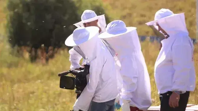 锡伯族的禁忌_锡伯杜圣托马斯_锡伯族忌口